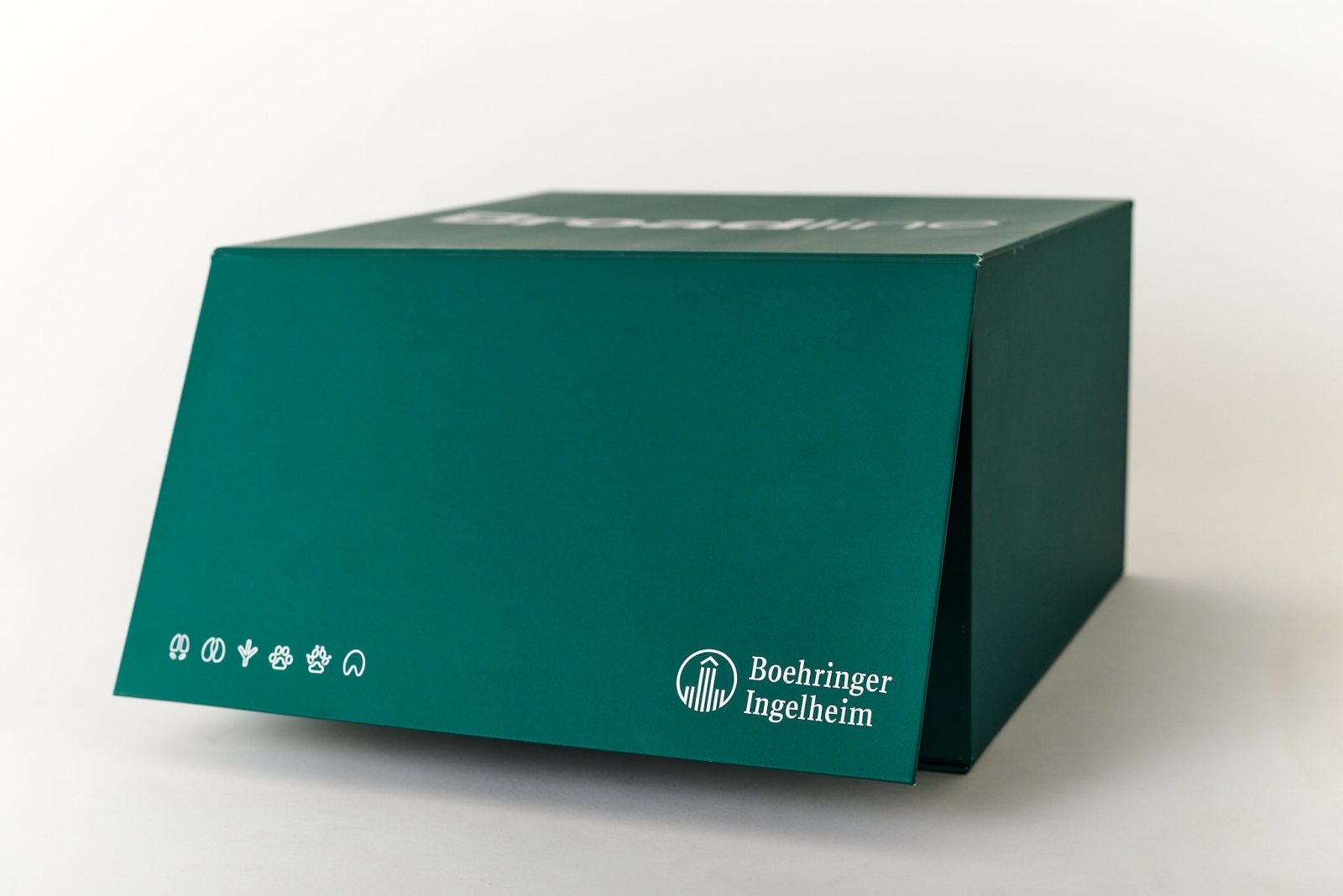 Caja rígida cerrada con imán